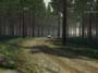 Colin McRae Rally 2005 screenshot number 11