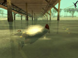 Carl swimming... with his shoes on
