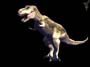 Jurassic Park: Survival screenshot number 11