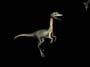Jurassic Park: Survival screenshot number 2