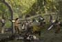 The Lord Of The Rings: The Treason Of Isengard screenshot number 4