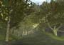 The Lord Of The Rings: The Treason Of Isengard screenshot number 7