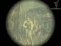Metal Gear Solid 3: Snake Eater screenshot number 21