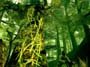 Metal Gear Solid 3: Snake Eater screenshot number 25