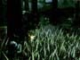 Metal Gear Solid 3: Snake Eater screenshot number 26