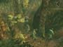 Metal Gear Solid 3: Snake Eater screenshot number 3