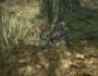 Metal Gear Solid 3: Snake Eater screenshot number 30