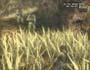 Metal Gear Solid 3: Snake Eater screenshot number 46