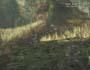 Metal Gear Solid 3: Snake Eater screenshot number 55