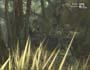 Metal Gear Solid 3: Snake Eater screenshot number 58