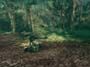Metal Gear Solid 3: Snake Eater screenshot number 75
