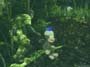 Metal Gear Solid 3: Snake Eater screenshot number 82