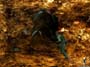 Metal Gear Solid 3: Snake Eater screenshot number 90