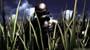 Onimusha: Warlords screenshot number 21