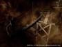 Silent Hill 3 screenshot number 28