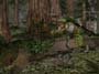 Star Wars Battlefront screenshot number 50