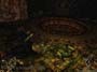Summoner screenshot number 25