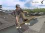 Tony Hawk's Pro Skater 4 screenshot number 3
