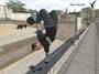 Tony Hawk's Pro Skater 4 screenshot number 4