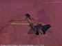 Top Gun: Combat Zones screenshot number 12
