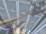 Xenosaga screenshot number 39